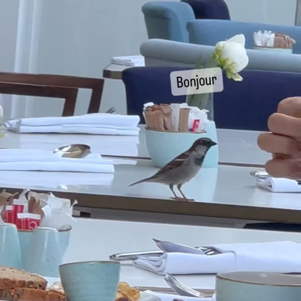 230523 Karina Instagram Story Update (2)