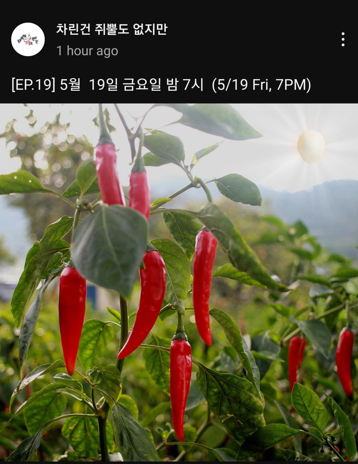 230516 Karina is set to be the next guest for Lee Youngji’s show "My Alcohol Diary/No Prepare" ep.19 to air on Friday, May 19th at 7PM KST