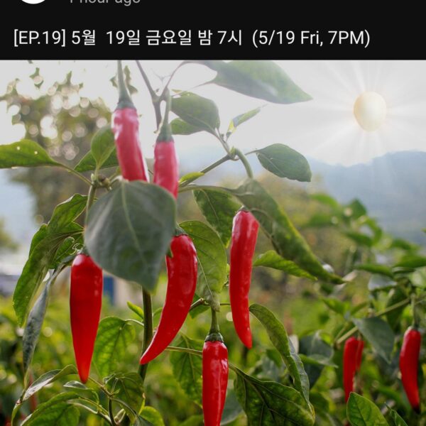 230516 Karina is set to be the next guest for Lee Youngji’s show "My Alcohol Diary/No Prepare" ep.19 to air on Friday, May 19th at 7PM KST