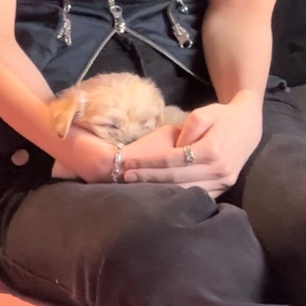 231006 Winter Instagram Story Updates