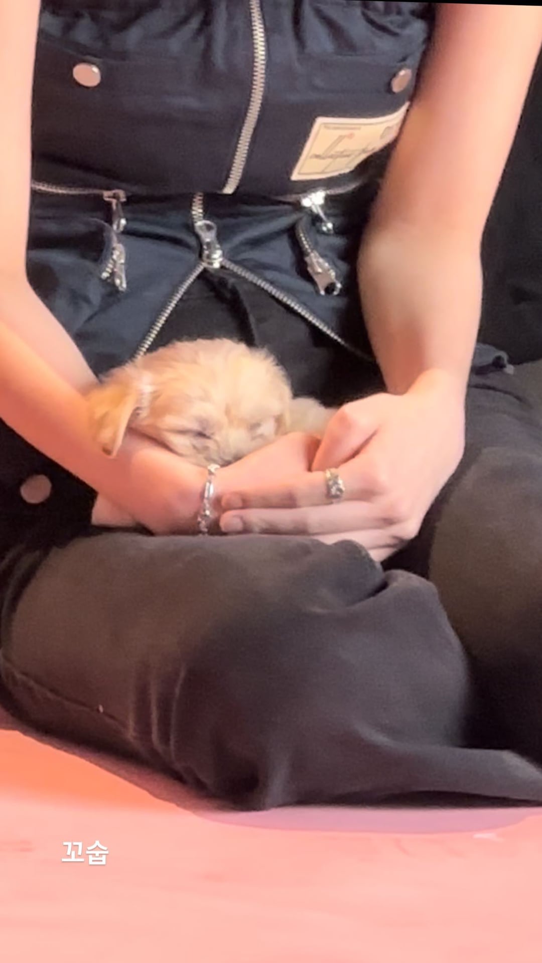 231006 Winter Instagram Story Updates