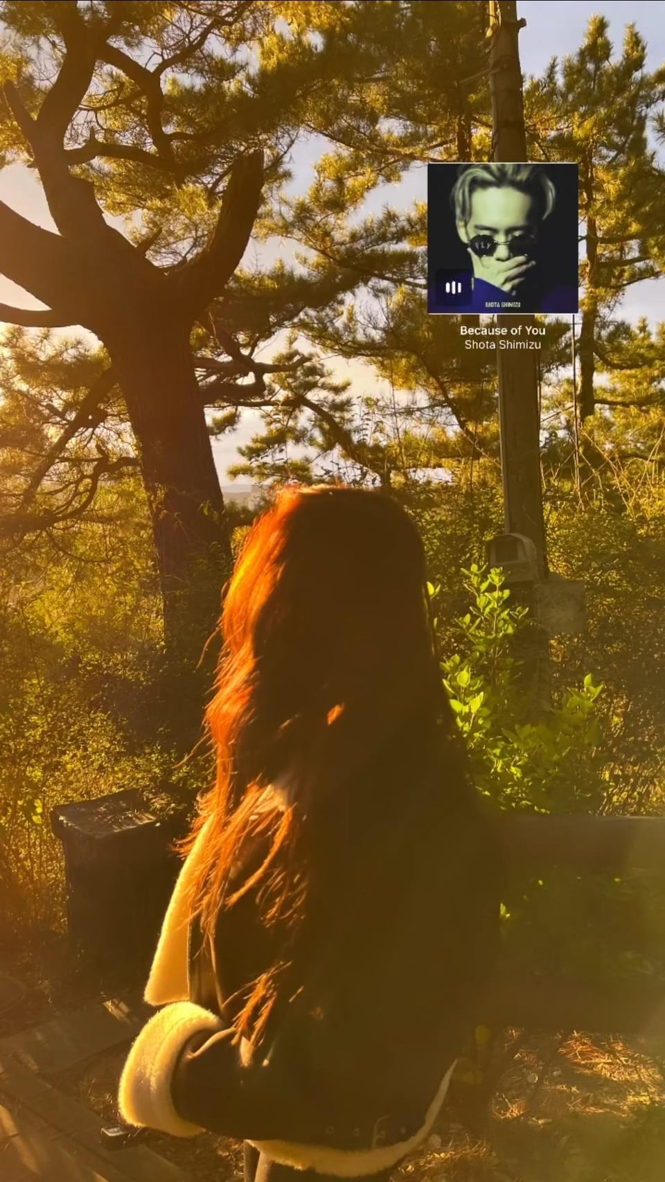 231103 Giselle Instagram Story Update