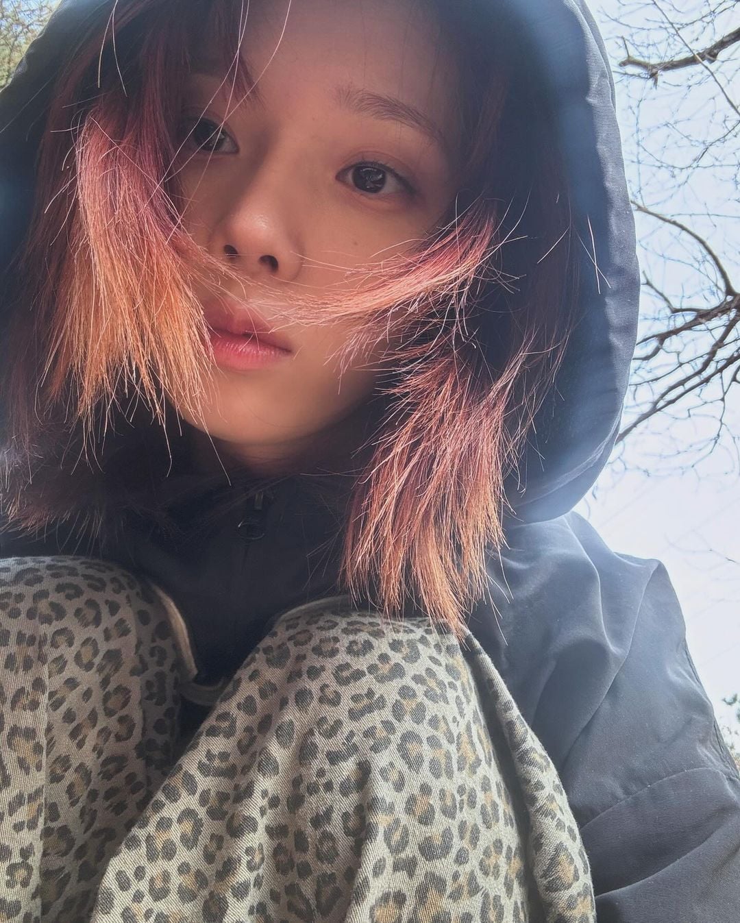 231219 Winter Instagram Update