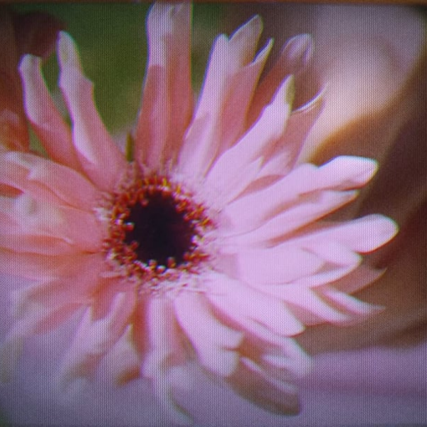 231210 mamondekorea Instagram Reels Update with Winter