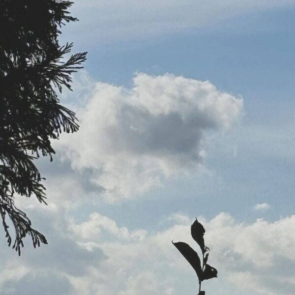 240128 Karina Instagram Update