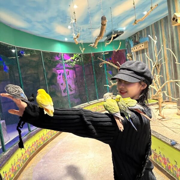 240118 Ningning Weverse Update