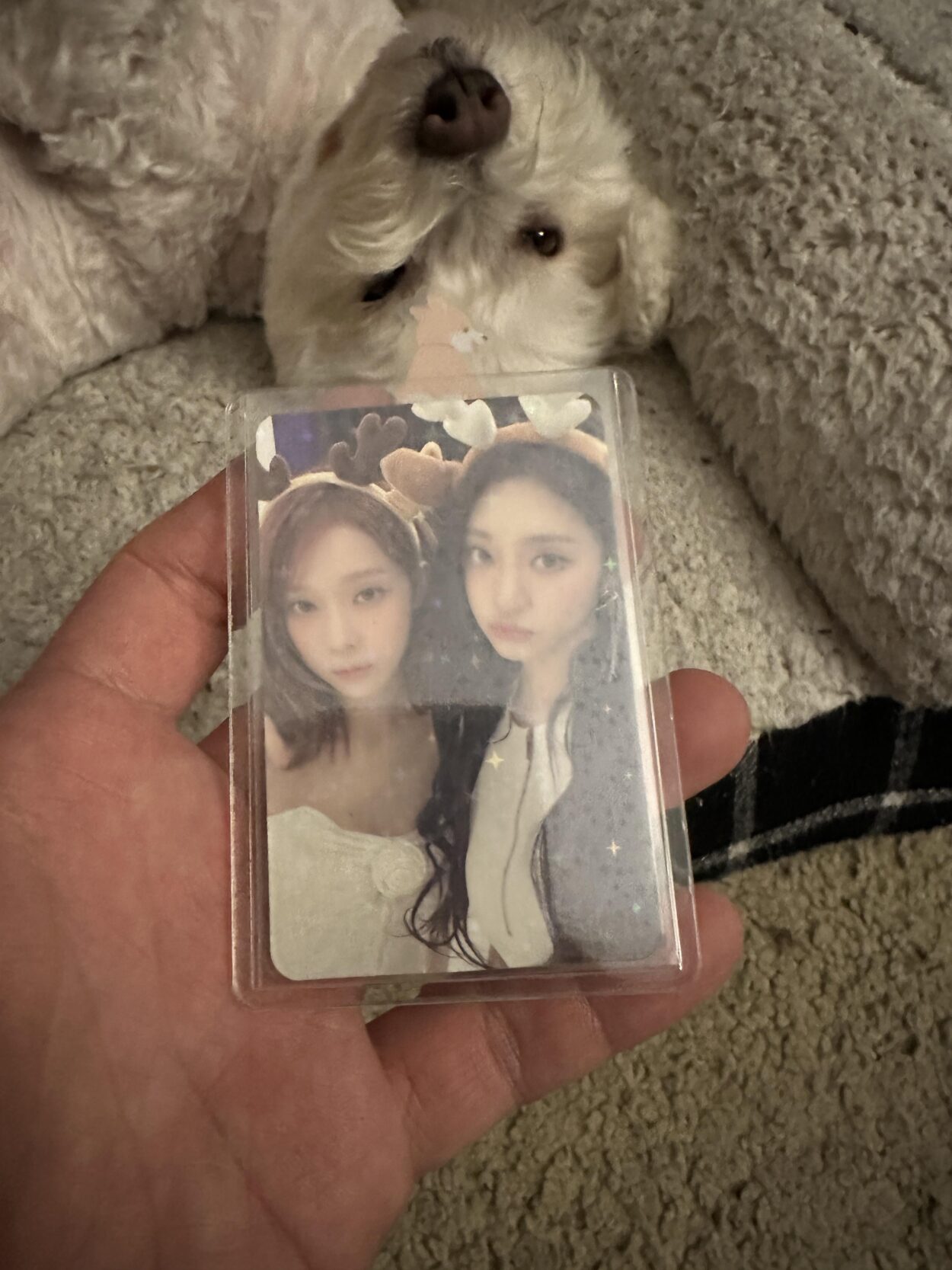 Has anyone else pulled a holo unit card?