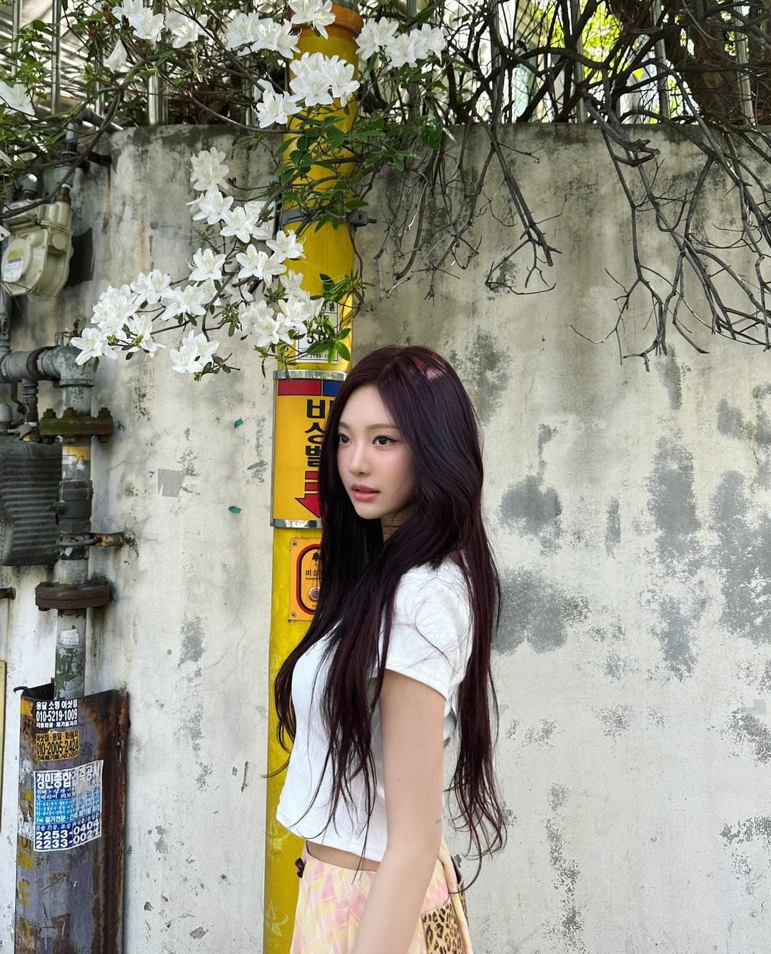 240426 Ningning Instagram Update