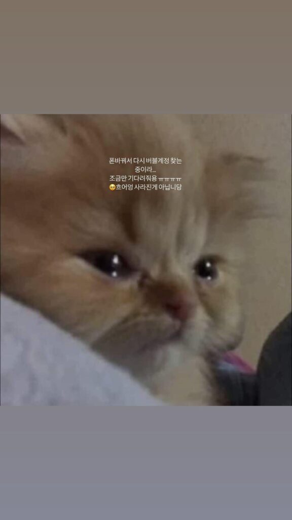 240526 Ningning Instagram Story Update