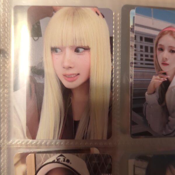 I THOUGHT THIS WAS WINTER??