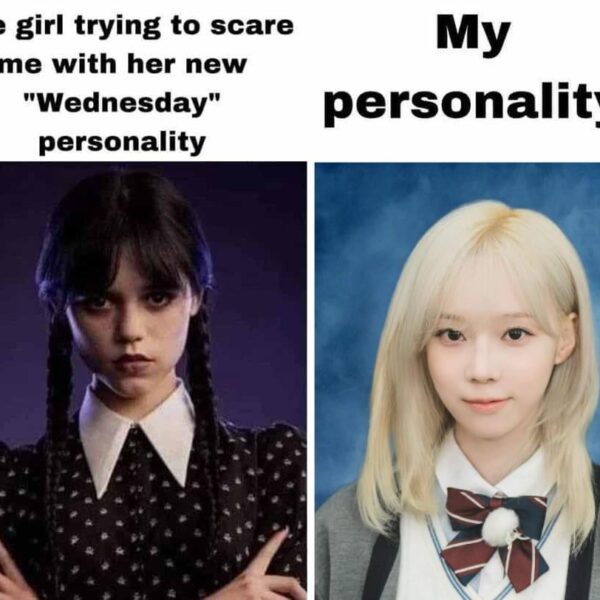 Are memes even allowed here?😔😔