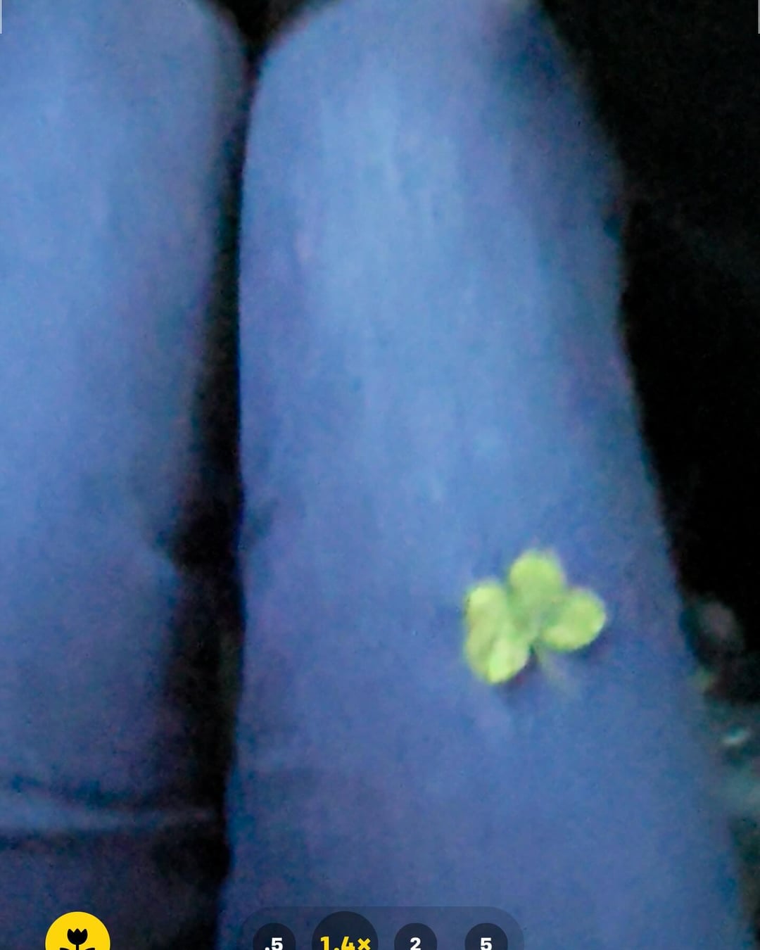 241008 Giselle Instagram Update