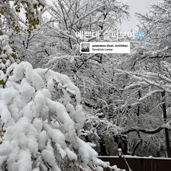 241127 Ningning Instagram Story Update