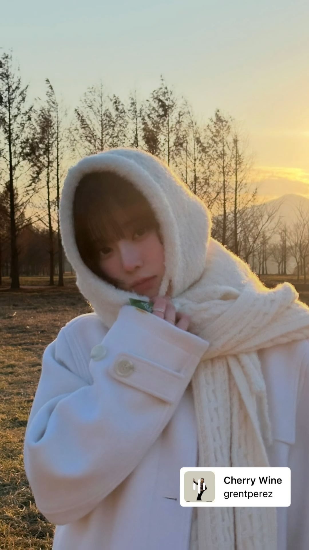 250107 Winter Instagram Story Update 2