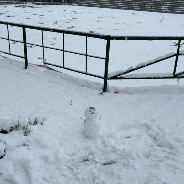 241127 Karina Instagram Story Update