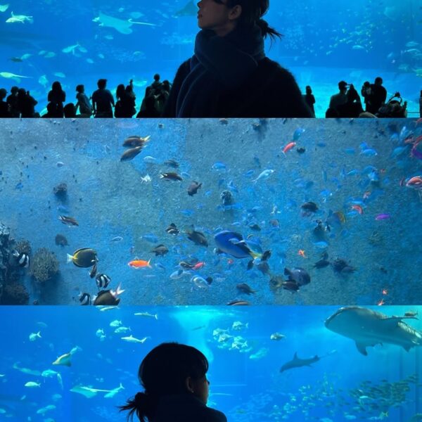 241219 Karina Instagram Update