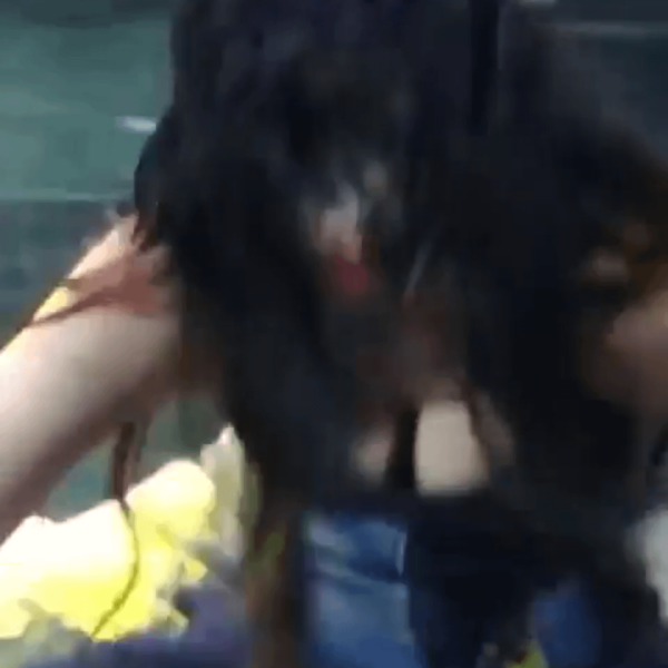 Happy Day Karina ❤️🔥