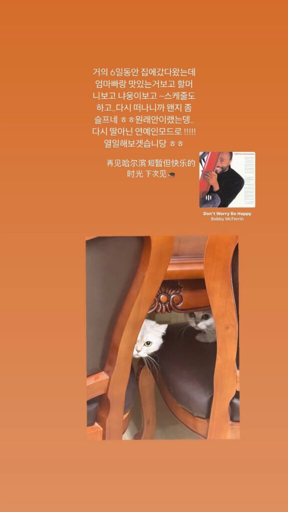 250611 Ningning Instagram Story Update