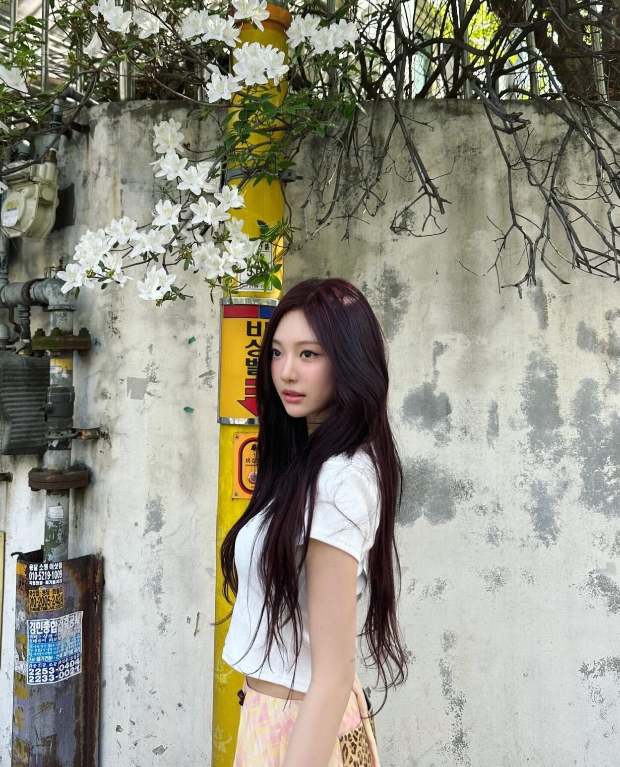 Ningning Instagram Update - 240426