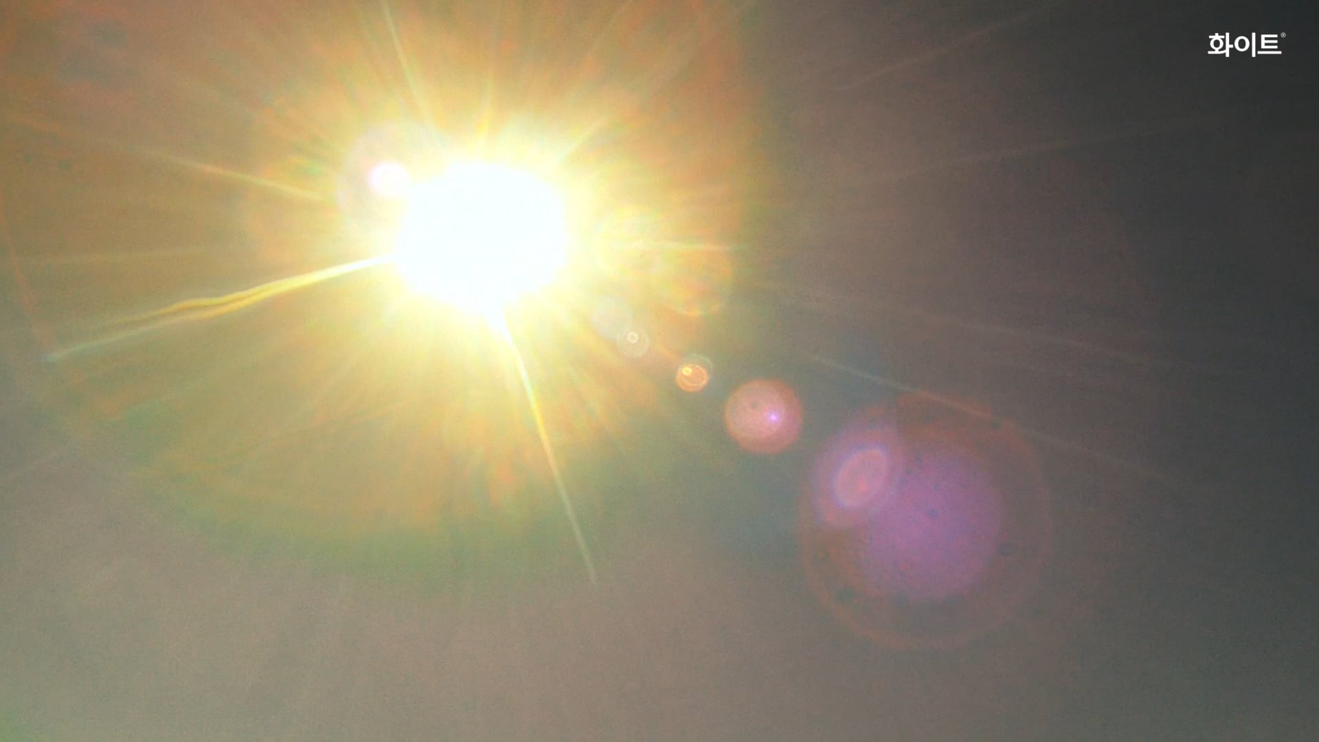 250605 Winter for Yuhan-Kimberly's WHITE 'Stay Cool'