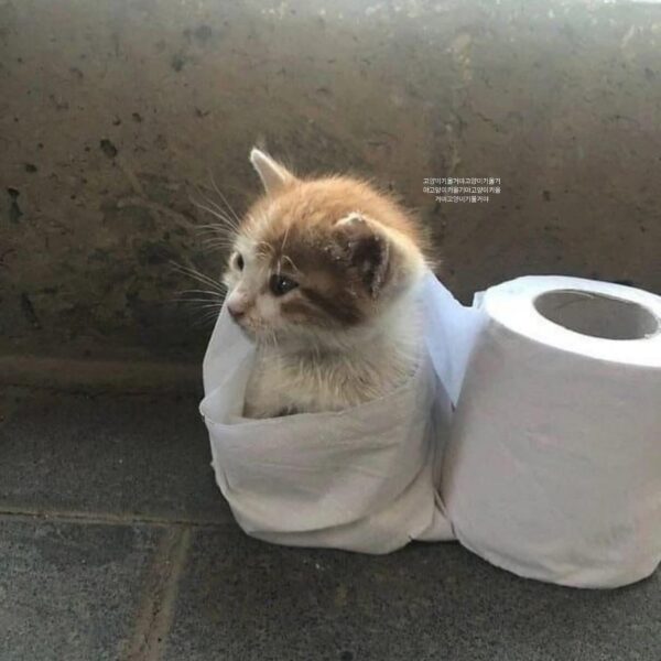 250621 Ningning Instagram Story Updte