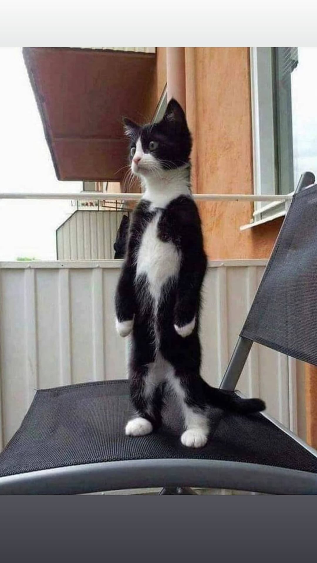 250620 Ningning Instagram Story Update