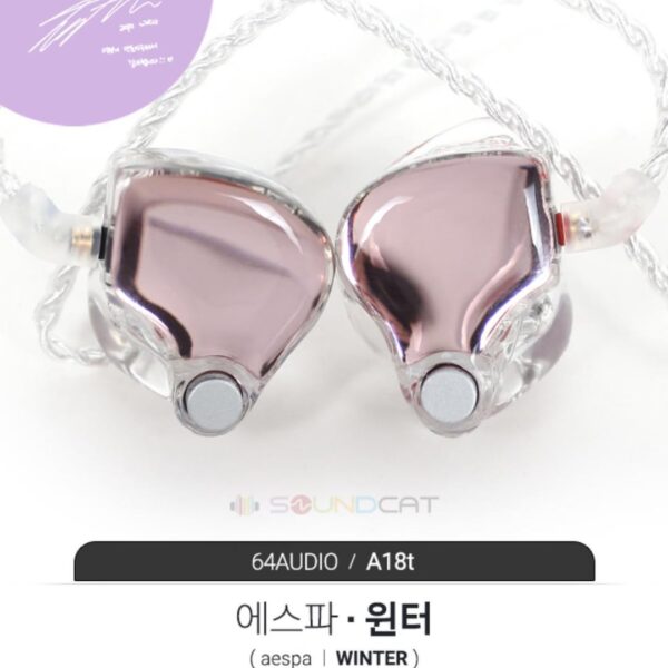 Winter’s Custom In-ear monitor