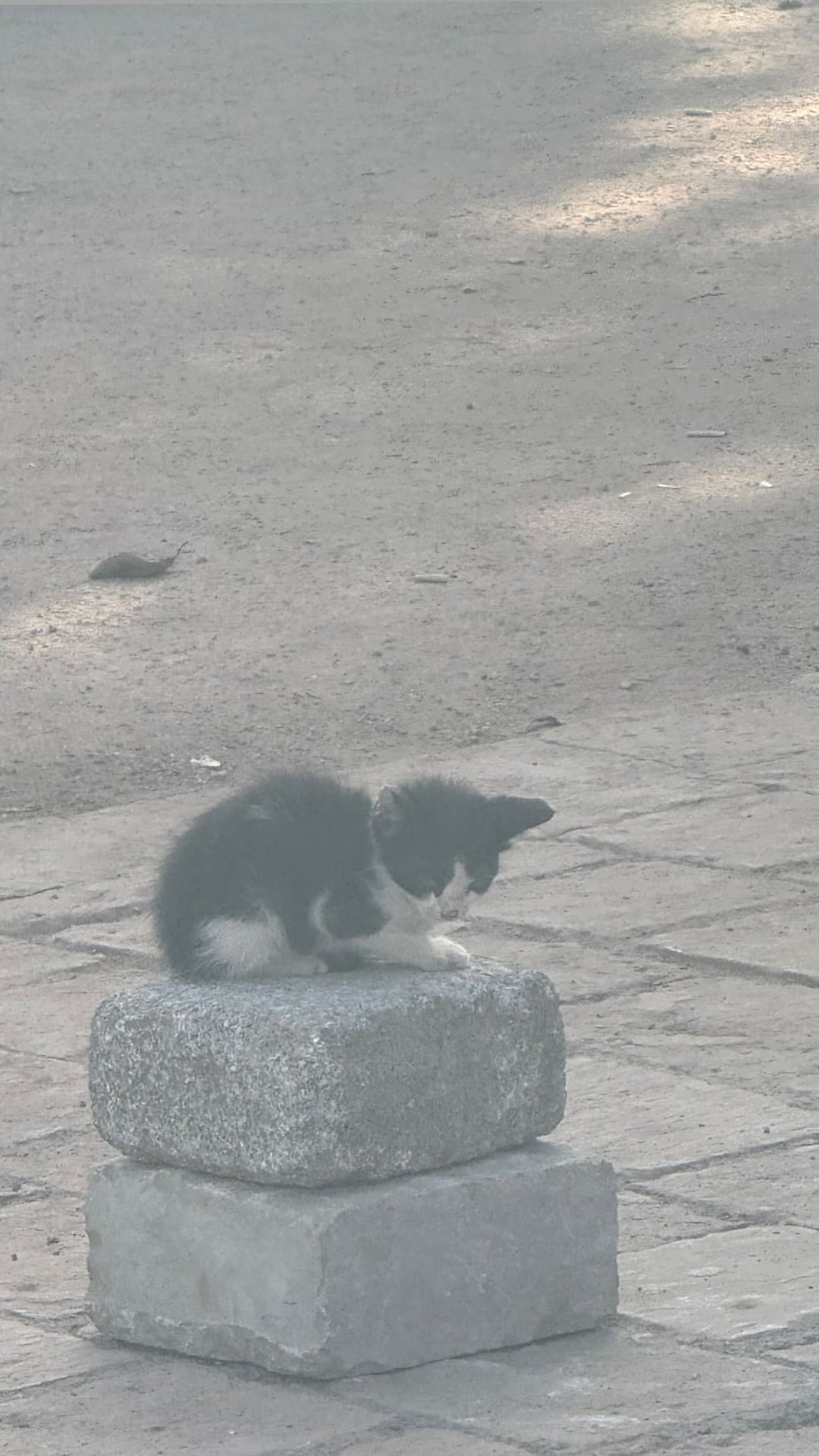 250626 Winter Instagram Story Update