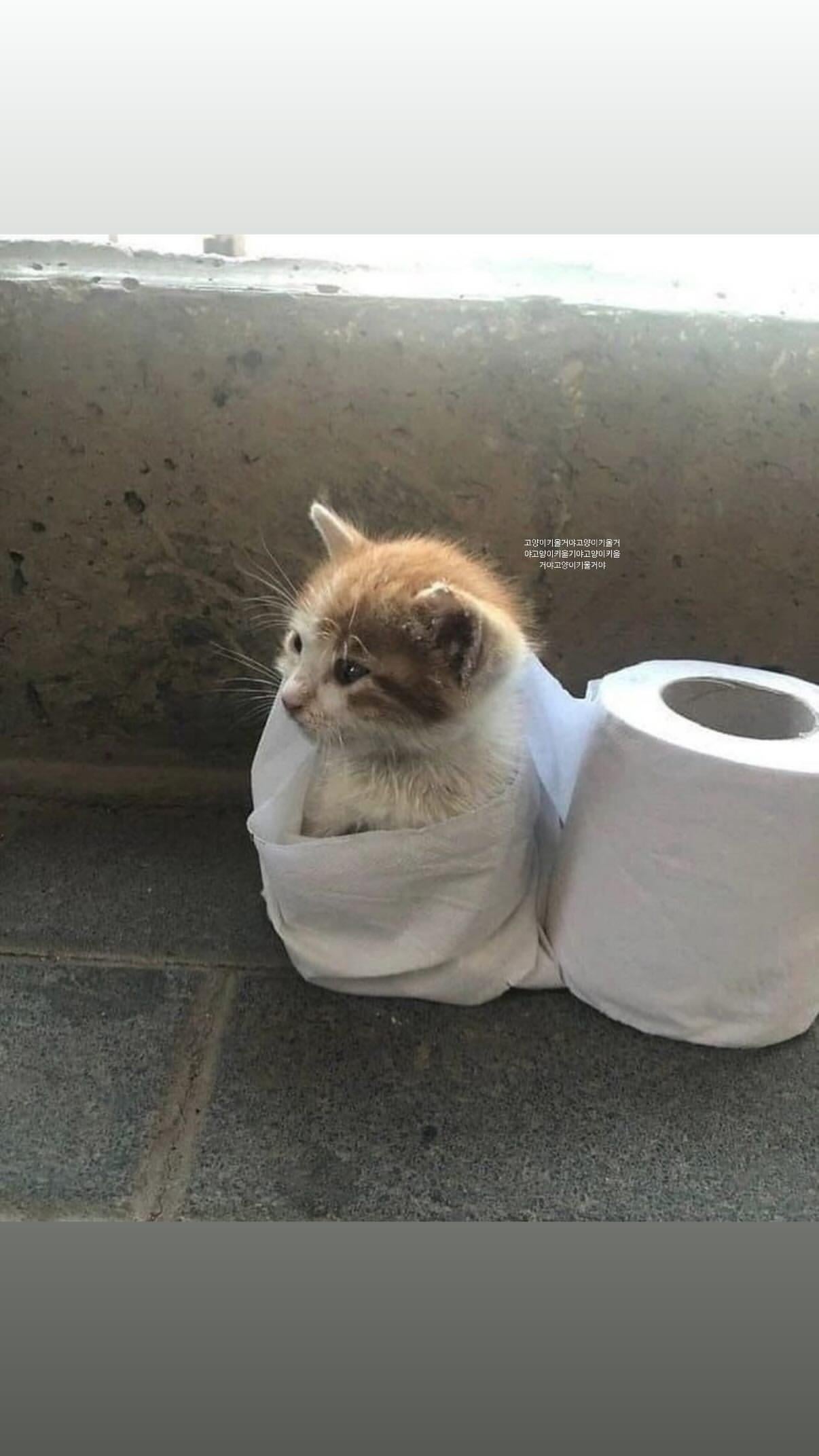 250621 Ningning Instagram Story Update