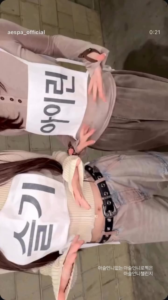 250727 Winter Instagram Story Update with Karina