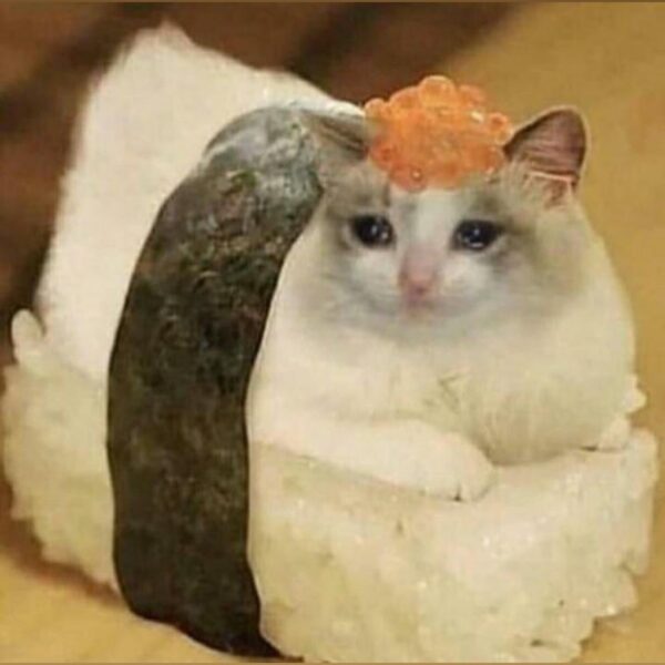 250707 Ningning Instagram Update