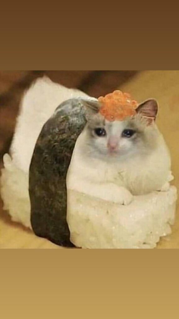 250707 Ningning Instagram Story Update
