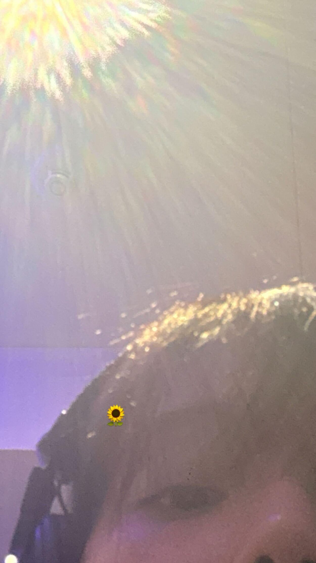 250805 Winter Instagram Story Update