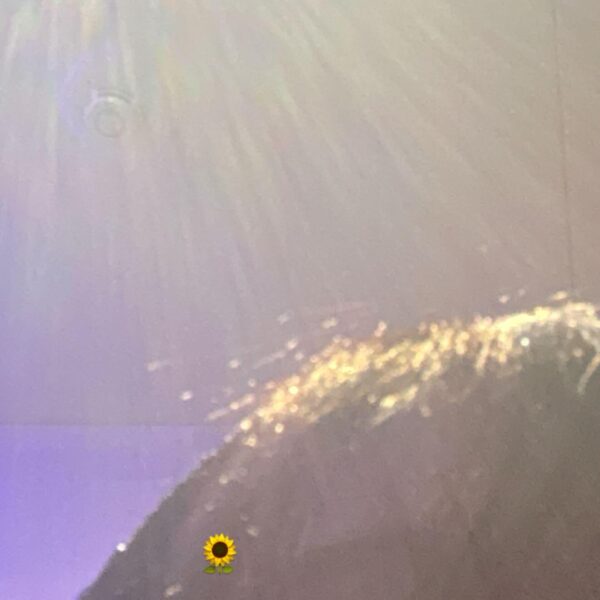 250805 Winter Instagram Story Update