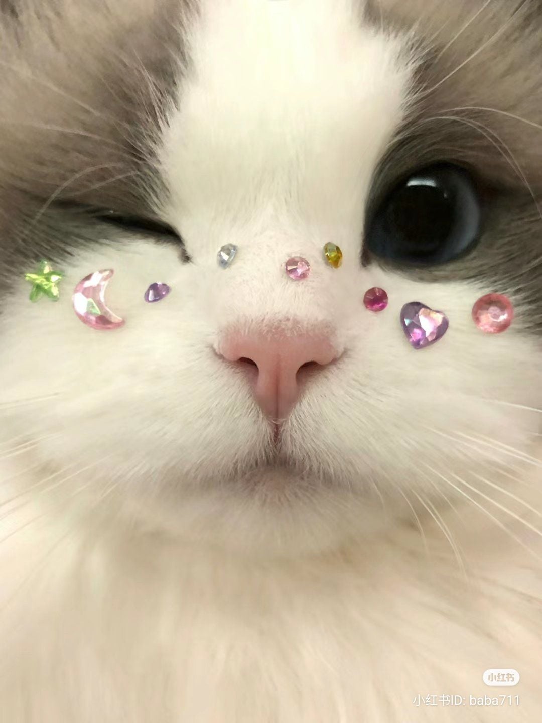 Both adorable IMO