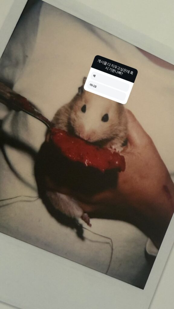 250923 Ningning Instagram Story Update