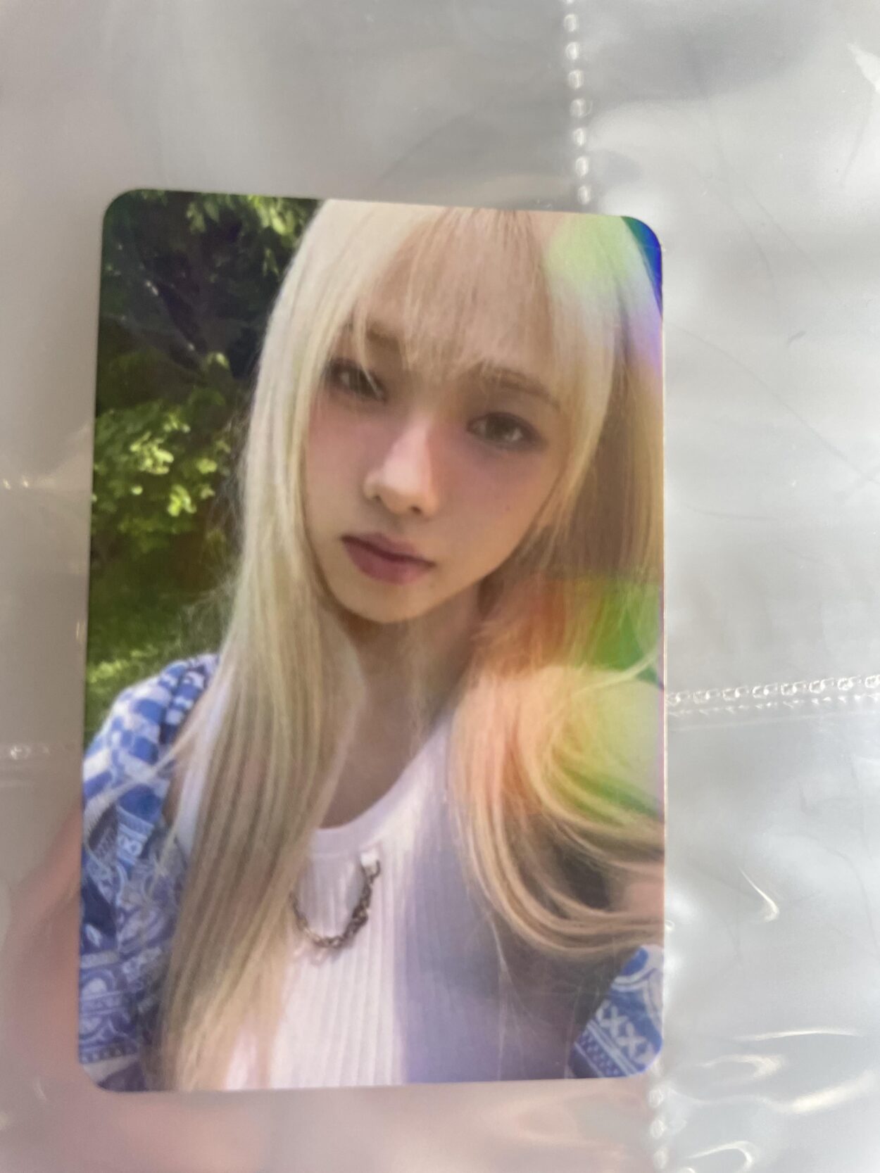 which member is this