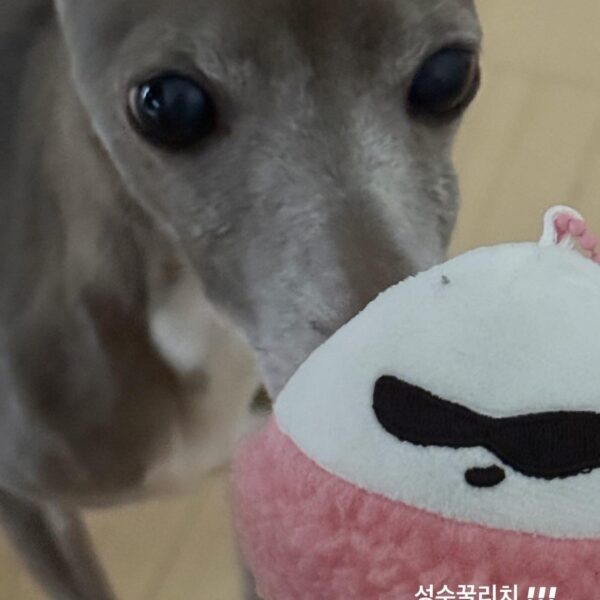 250901 Giselle Instagram Story Update with Cooper