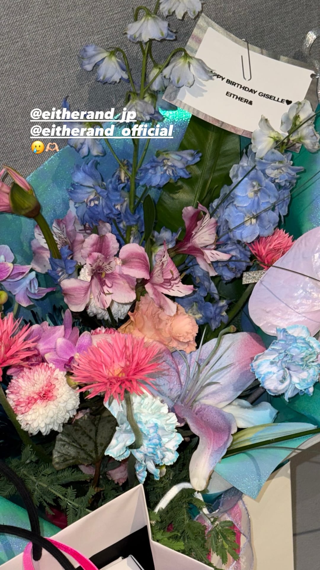 251031 Giselle Instagram Story Update