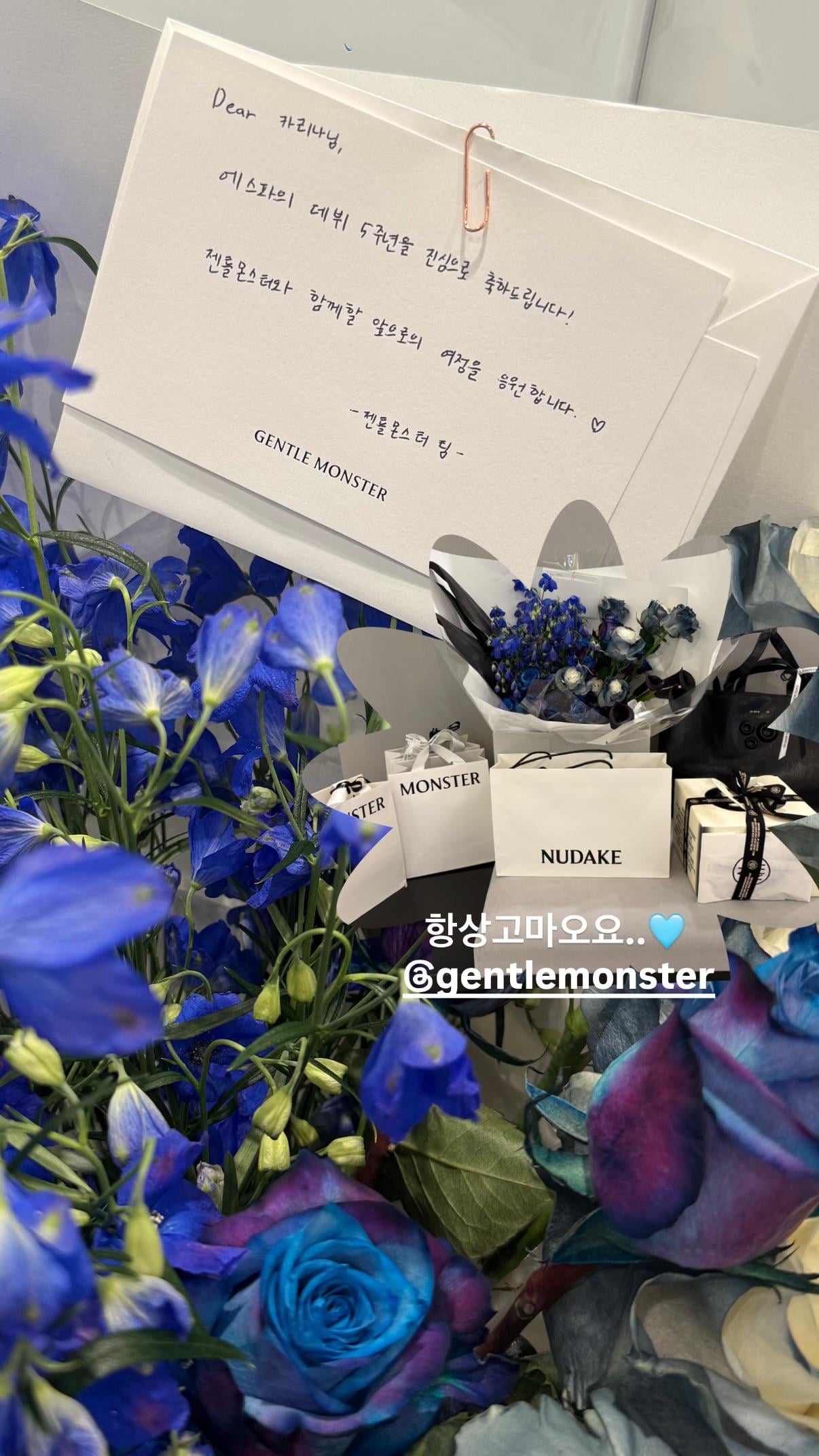 251118 Karina Instagram Story Update