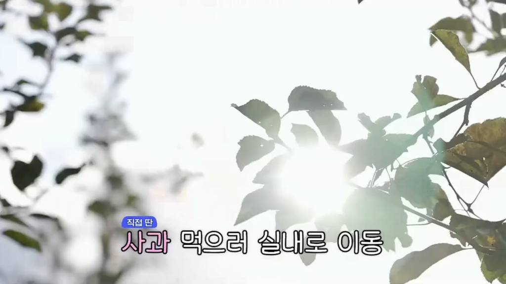 260110 Karina @ Getaway and Go with Jangdobari Season 3 EP.9 (Highlights)
