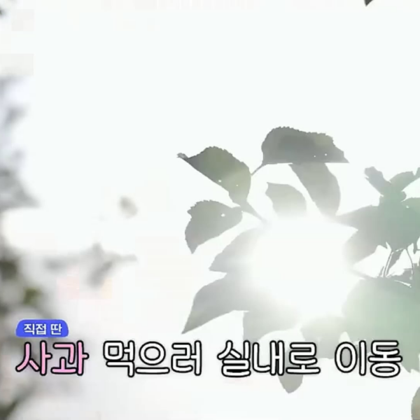 260110 Karina @ Getaway and Go with Jangdobari Season 3 EP.9 (Highlights)