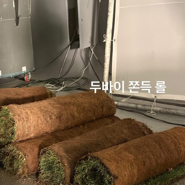 260129 Karina Instagram Story Update