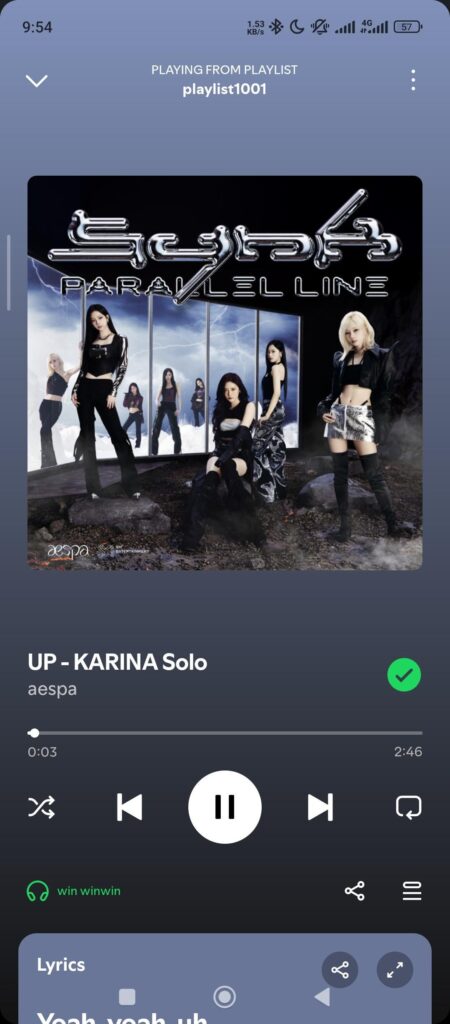 Soloist Karina, what type of soloist do you think Karina would become if she becomes a soloist based on her two solos! (name a current soloist example )