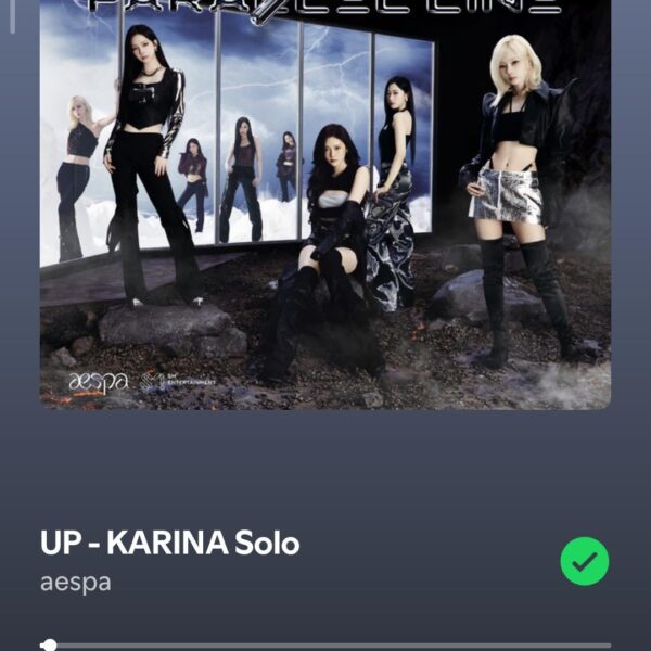 Soloist Karina, what type of soloist do you think Karina would become if she becomes a soloist based on her two solos! (name a current soloist example )