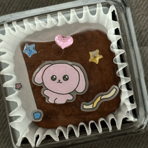 260220 Winter Instagram Story Update 2