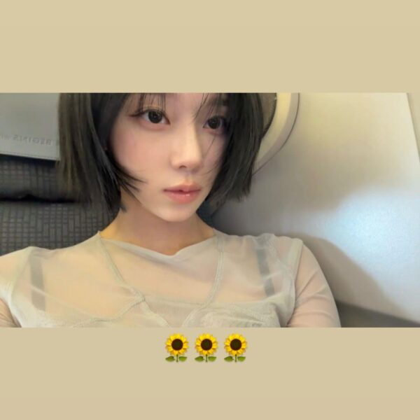 260213 Winter Instagram Story Update