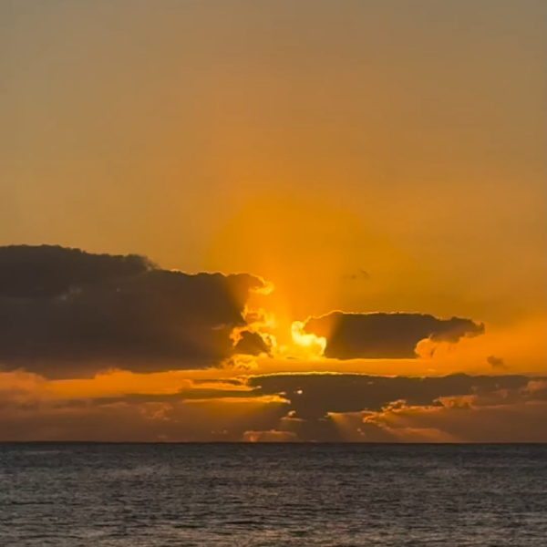 260217 Winter Instagram Story Update