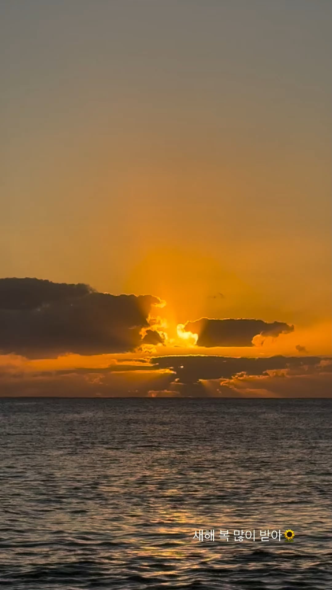 260217 Winter Instagram Story Update