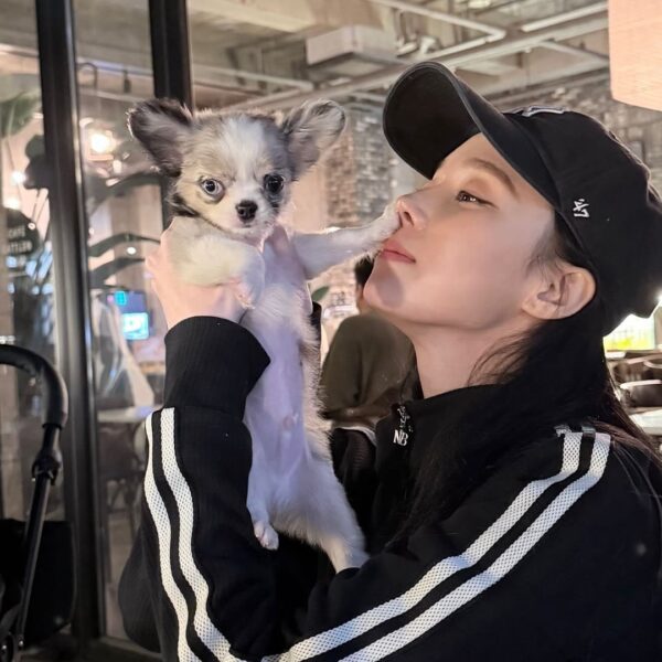 251016 Winter Instagram Story Update